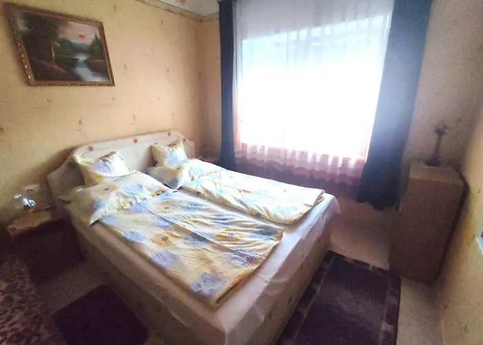 In - Balaton 18592 *